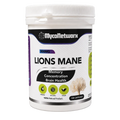 Lion’s Mane Mushroom Capsules 500mg – Memory, Focus & Brain Support | 100 Vegan Capsules