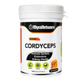Cordyceps Mushroom Capsules 500mg – Energy, Endurance & Immune Support | 100 Vegan Capsules